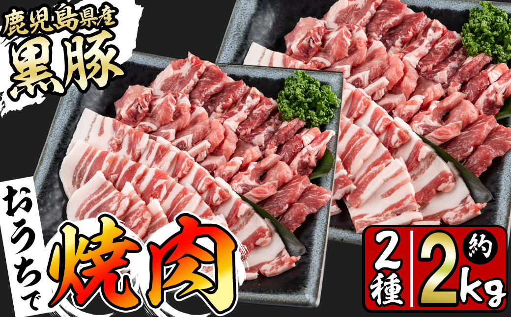 
鹿児島県産黒豚焼肉セット(計2kg・黒豚肩ロース焼肉500g×2P 黒豚バラ焼肉500g×2P) b1-008
