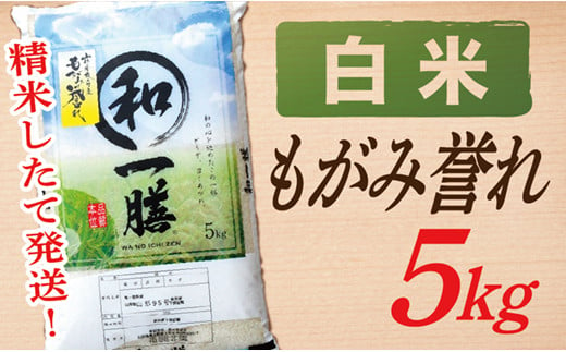 【令和6年産】【白米】山形県産もがみ誉れ5kg