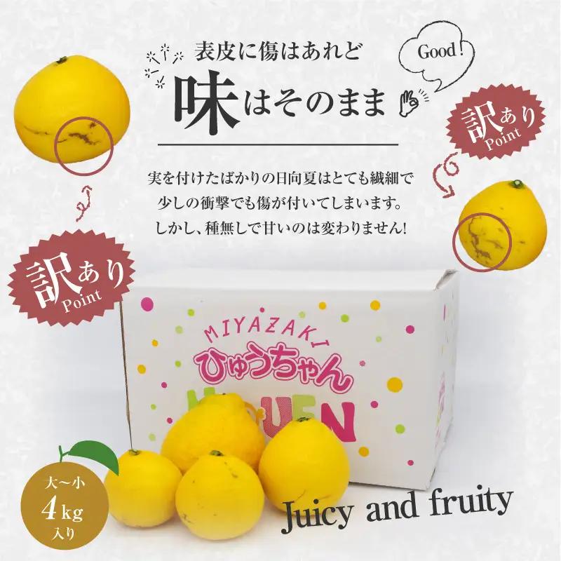 日向夏 種無し 日向夏[訳あり 4kg 2027年発送先行予約]
