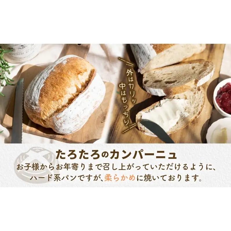カンパーニュぱん工房たろたろプレーン農林61号カンパーニュ【2個】