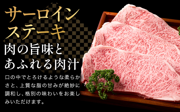 牛肉 肉 鹿児島県産北さつま 高崎牛 サーロインステーキ 1枚 300g 有限会社 太田家 《30日以内に出荷(土日祝除く)》 お肉 牛 ステーキ 鹿児島県 さつま町---stm-oty-21-300