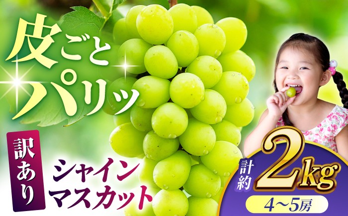 
                  【先行予約】【訳あり】 シャインマスカット 約2kg(4～5房)【合同会社 社方園】 [ZBZ032]
                