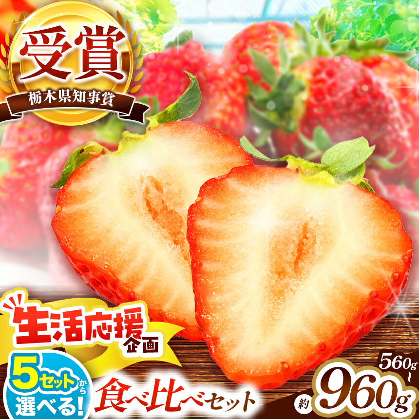 大粒スカイベリー＆新品種とちあいか 食べ比べセット