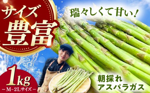 【3月中旬以降順次発送】朝採れアスパラガス１kg 《対馬市》【農家くんのアスパラファーム】 冷蔵 アスパラ あすぱら とれたて 新鮮 野菜 産地直送  [WCT001]