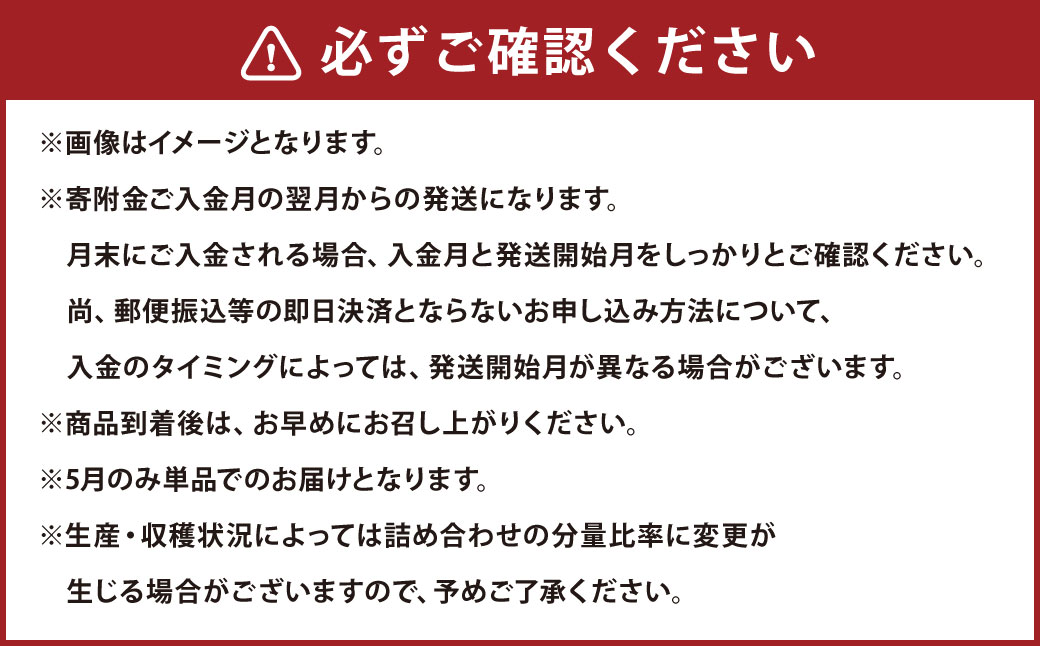 【6か月連続定期便】熊本便り！旬のフルーツ詰め合わせ定期便