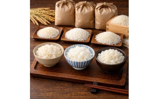 令和7年産米　コシヒカリ・ゆうだい21・キヌヒカリ精米5kg×3　銘柄米食べ比べセット　合計15キロ【1710885】