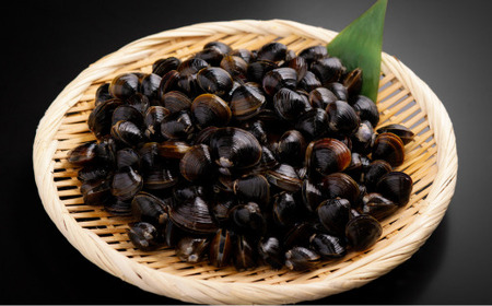 朝食セット 天然新巻鮭＆紅鮭切身 各5切と網走湖産しじみ貝 2kg ABE116 | 鮭 しじみ