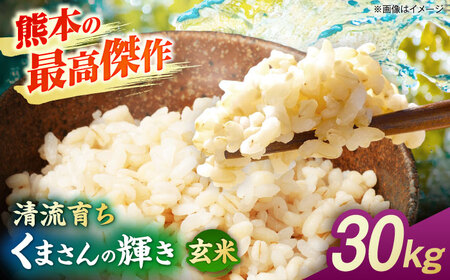 【先行予約】くまさんの輝き 30kg 玄米  山鹿市産【奥村果実園】[ZFK018]