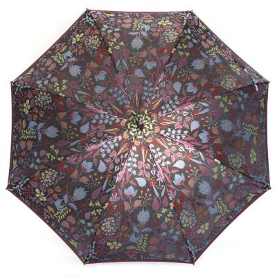 ふるさと納税 富士河口湖町 槙田商店【晴雨兼用】長傘 スティグ リンドベリ【HERBARIUM】(ハーバリウム) 赤 |  | 03