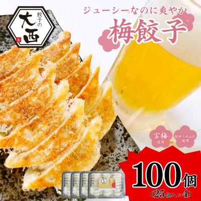 ふるさと納税 田辺市 大西の梅餃子セット 計100個 (25個入り×4パック)【gyz013-1】