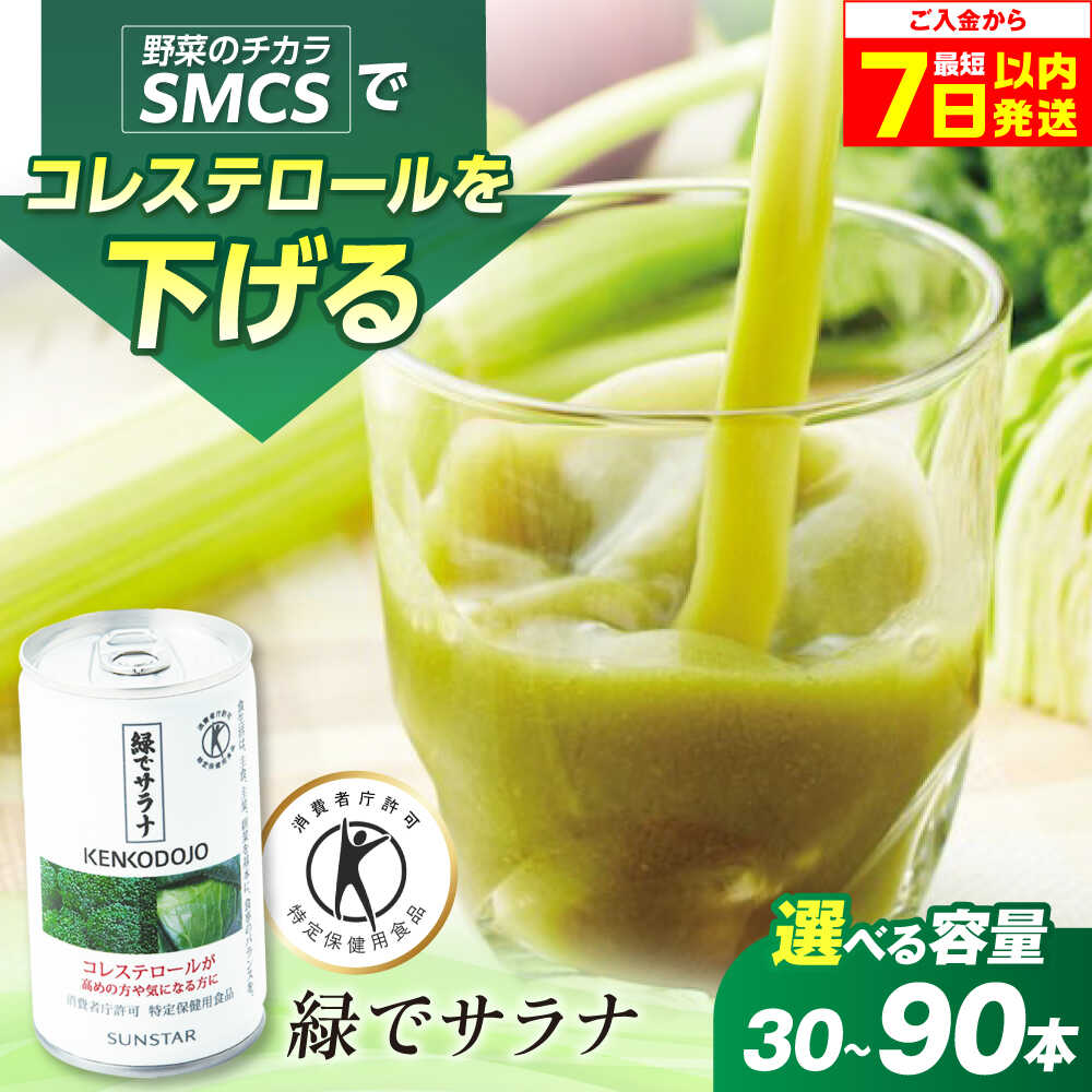 【ふるさと納税】【最短7日以内発送】【選べる容量】サンスター 緑でサラナ 160g 野菜ジュース 青汁 サラナ 缶 ケース まとめ買い 健康 特定保健用食品 トクホ コレステロール 保存料不使用 無添加 国産 日用品 長期保存 常温 防災 ギフト 大阪府高槻市/サンスター[AOAD034]