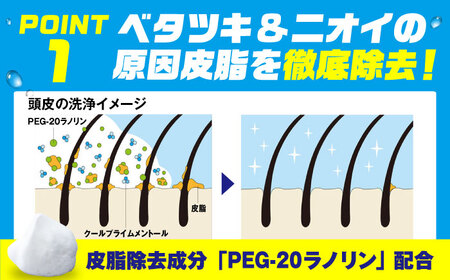 【詰め替え用】サンスタートニック 爽快頭皮ケア リンスインシャンプー20袋＜シトラスハーブの香り＞　シャンプー リンス メンズ 男性 大容量 まとめ買い　大阪府高槻市/サンスター[AOAD002] [