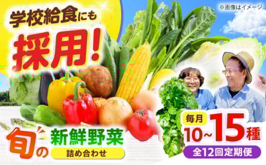 【全12回】【数量限定】厳選！旬を味わう高槻野菜おまかせ詰め合わせ定期便（10種～15種）　大阪府高槻市/高槻あぐり [AOCS021]