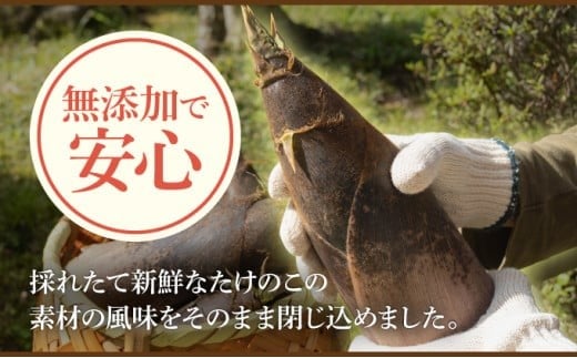 篠栗産たけのこの水煮200g×2パック BZ024