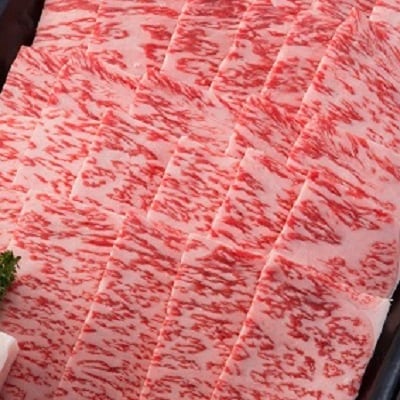 【飛騨牛】ロース焼肉500g【配送不可地域：離島】