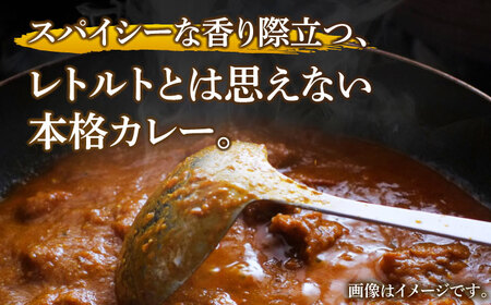 カレー工房　NVfoodsのカレー5種詰め合わせセット[KAB220] 長崎 平戸 惣菜 加工品 レトルト カレー 詰合せ セット ビーフ 牛すじ キーマカレー