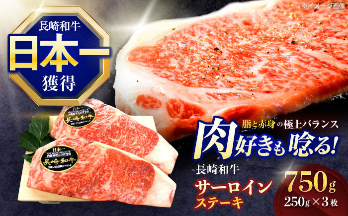 長崎和牛サーロインステーキ 約750g(250g×3枚)【株式会社 黒牛】 [OCE047] / 牛肉 国産牛 肉 すてーき さーろいん