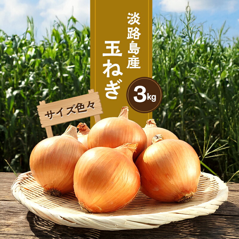 【ふるさと納税】【サイズ色々】淡路島産玉ねぎ3kg 兵庫県 洲本市 淡路島 　お届け：2025年7月～2026年1月