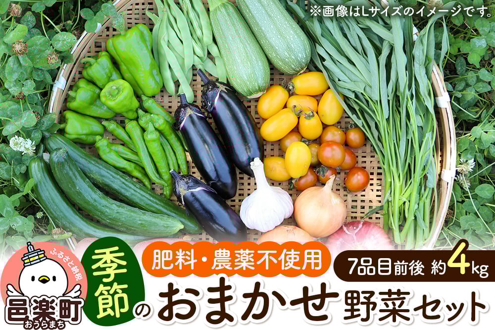 
            自然栽培 春夏 季節のお任せ野菜セット Mサイズ
          