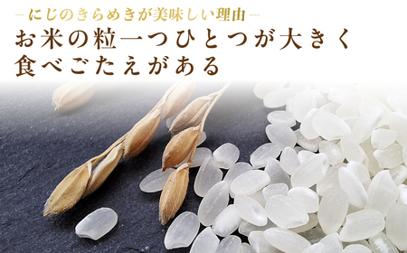 米 にじのきらめき 5kg 米 久喜市 埼玉県 