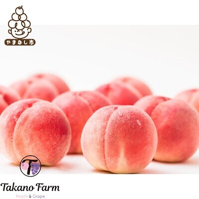 贈答もも 約2kg 山梨県産 自社農園産直!完熟収穫!【数量限定】化粧箱【配送不可地域：離島】