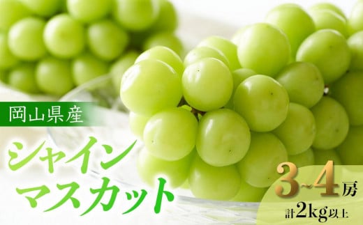 ぶどう 2025年 先行予約 岡山県産 シャインマスカット 3～4房 計2kg以上＜ジューシーで上品な甘みと高貴な香り＞