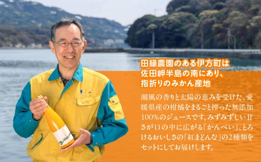 【愛媛県産】田縁農園の無添加100% かんぺい・紅まどんなジュース各3本セット（720ml×6本/かんぺい3、紅まどんな3） ストレート果汁100％【 ふるさと納税 人気 おすすめ ランキング ジュー
