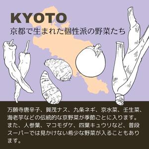 京都丹波産 旬の野菜セットDX  野菜