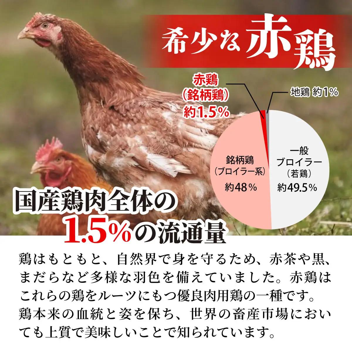 鶏肉 丹波赤どり むね肉4kg（1kg×4袋）訳あり鶏肉