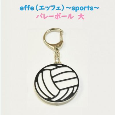 ふるさと納税 鯖江市 防災・防犯用 笛『effe(エッフェ)〜sports〜』 バレーボール(大)