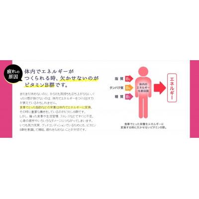ふるさと納税 富山市 【毎月定期便】【10本】エーザイ　チョコラBBハイパー50ml×10本全5回 |  | 02