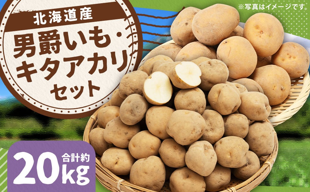 
            じゃがいも 男爵 キタアカリ  Lサイズ 各約10kg×1箱 計約20kg （JA） ジャガイモ 芋 いも イモ 食べ比べ 食べくらべ セット 国産 【2025年9月下旬-12月下旬迄発送予定】
          
