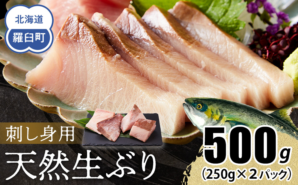【2025年12月発送】北海道 知床羅臼産 天然ぶり刺身 500g (250g×2パック) 魚 海産物 魚介 魚介類 ブリ 鰤 刺身 ご飯のお供 冷凍 生産者 支援 応援 016942_AA066VC12
