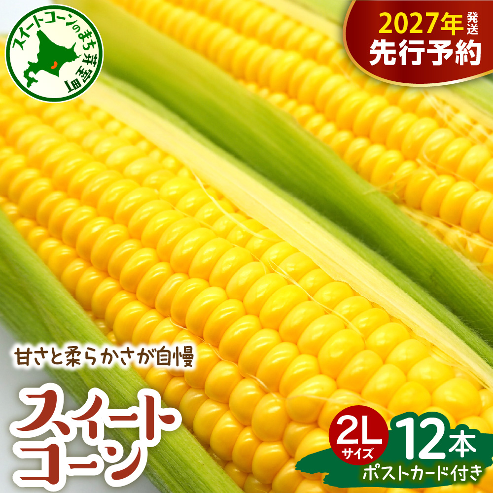 【先行受付】【2027年7月下旬～8月下旬頃配送】北海道十勝芽室町 上美生のたからばこ とうもろこしゴールドラッシュ ２Lサイズ以上12本ポストカード セット me029-001-27b