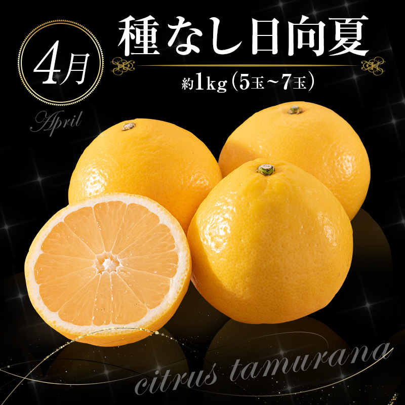 南国宮崎 旬のフルーツ定期便 偶数月コース【計6回】【E144-24】_イメージ3