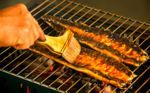 田野町産うなぎの蒲焼き10本