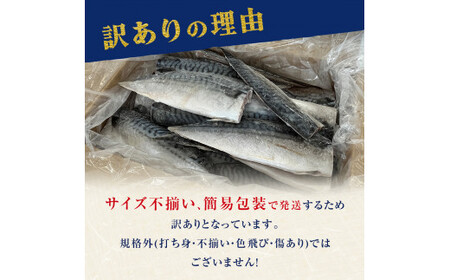 訳あり 塩サバフィレ 2kg 冷凍 塩鯖 サバ 切り身 無添加 宮城県 石巻市