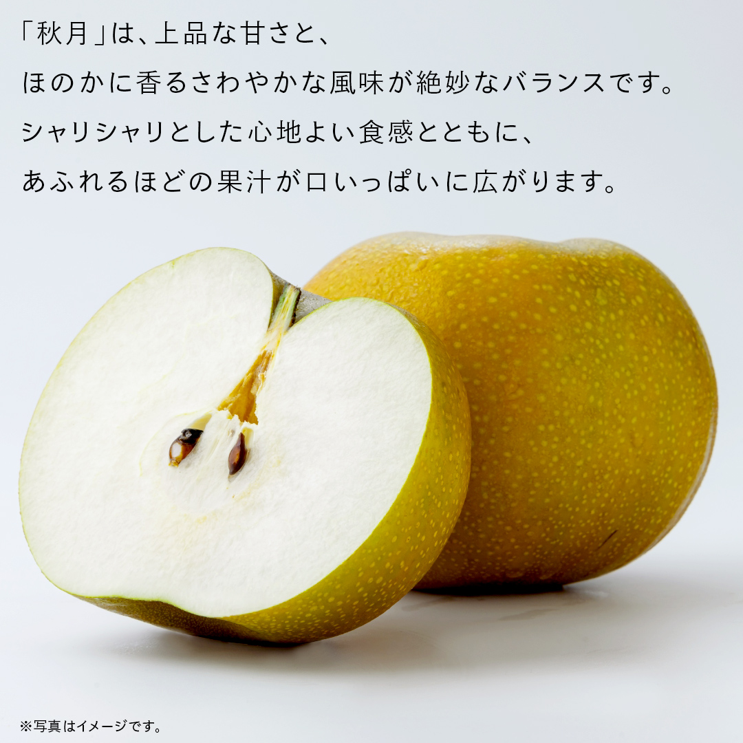 あきづき 梨 5kg （8～12玉）【2025年10月より発送開始】（茨