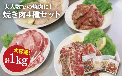 【味付き・大容量】ホルモン専門店の豪華！焼き肉4種セット計1kg（和牛ハラミ 400g / 豚ハラミ・丸腸・シマ腸 各200g） 吉野ヶ里町/三田川ホルモン専門店 [FAC011]