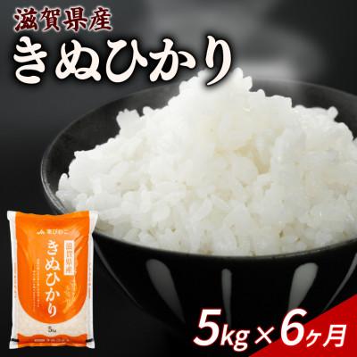 ふるさと納税 彦根市 【毎月定期便】きぬひかり 5kg 【滋賀でとれたお米、近江米!】全6回