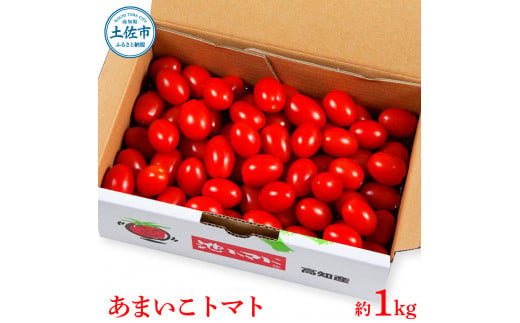 【先行予約】あまいこトマト 約1kg  / トマト ミニトマト フルーツトマト 糖度7～8度 高知県産 アイコ アイコトマト 健康 酸味控えめ 美味しい【池トマト】[BQAG025]