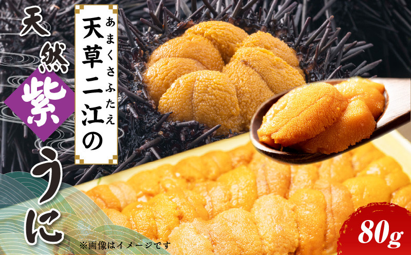 
                  S157-011_天草二江の天然紫うに 80g
                