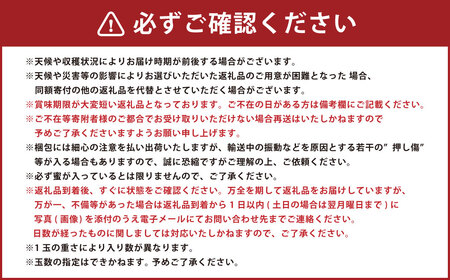 【訳あり】山形おきたま産りんご（中生種）品種おまかせ 〇秀 14玉～23玉 （約5kg） 山形県産 フルーツ 果物 【2026年10月発送】