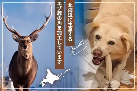 犬用「鹿の角(半割り)」Ｓサイズ×1本[53-1623]
