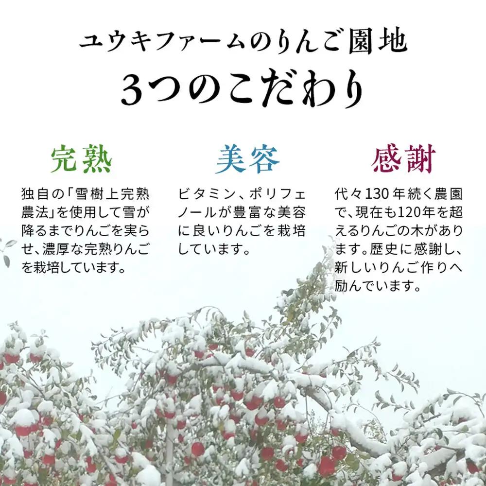 りんご サンふじ【特選】約3kg（9個）最高等級 先行受付