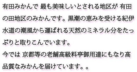 G7342_高級ブランド 田村みかん 5kg【家庭用 訳あり】