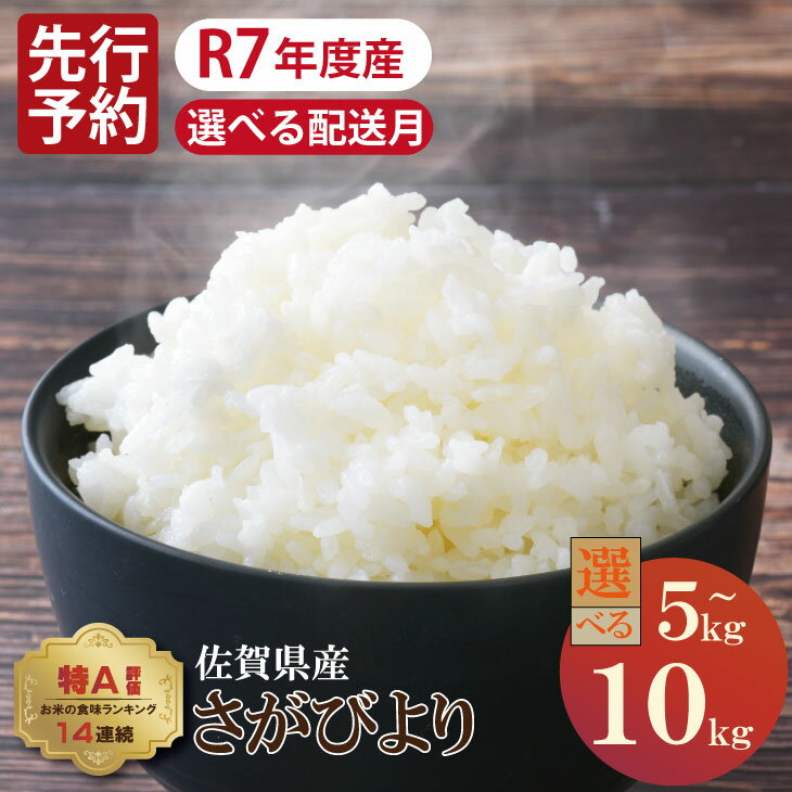 【ふるさと納税】【先行予約】【選べる配送月・内容量】 佐賀ブランド 米「 さがびより 」（5kg・10kg）有明潮風ファーム 精米 白米 キロ 単位 もちもち 食感 冷めても 美味しい お一人様 ご家族用 ランキング 特A 評価 【B160-011】