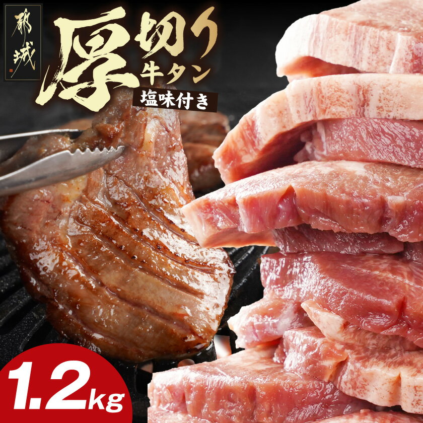 【ふるさと納税】厚切り牛タン1.2kg≪塩味付き≫ - 約10mm ぎゅうたん 厚切り 塩味付き 600g×2パック 味付き 切り込み スリット 送料無料 17-3606 【宮崎県都城市は2年連続ふるさと納税日本一！】