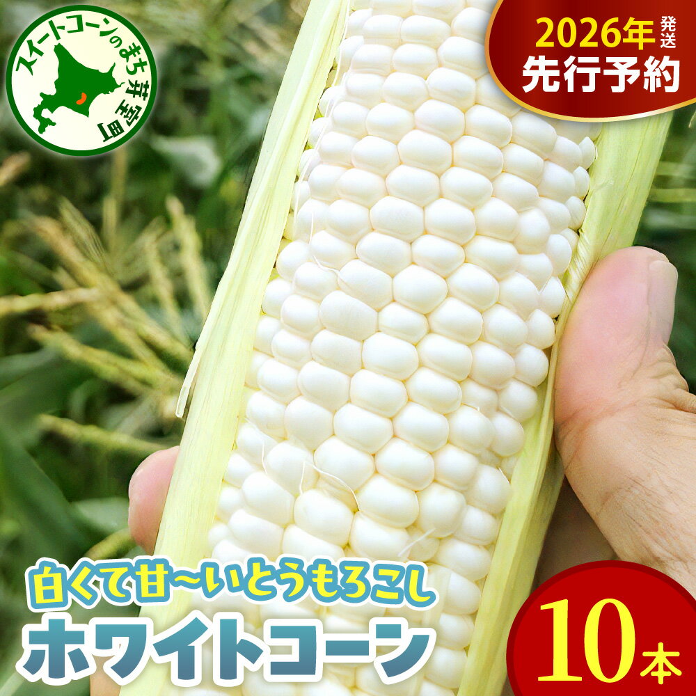 【ふるさと納税】【先行予約】2026年産 とうもろこし 北海道産 ホワイトコーン 10本 セット L ～ 2L 【2026年8月10日～8月下旬配送】 白色 コーン 朝採り 産地直送 とうきび 甘い 生 野菜 産地直送 冷蔵 送料無料 期間限定 数量限定 人気 おすすめ 北海道 十勝 芽室町