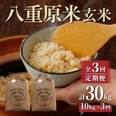 ふるさと納税 東御市 令和7年新米受付【3回定期便】八重原米10kg(5kg×2)玄米※2025年10月以降発送|笹屋農園